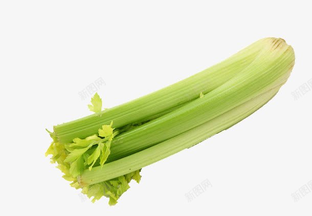 一把芹菜png免抠素材_新图网 https://ixintu.com 产品实物 实物图 绿色 芹菜 蔬菜