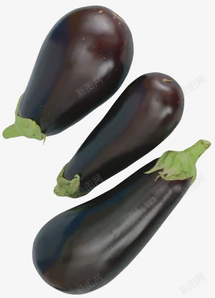 紫色茄子png免抠素材_新图网 https://ixintu.com 三根茄子 新鲜 瓜类 矮瓜 美味 蔬菜