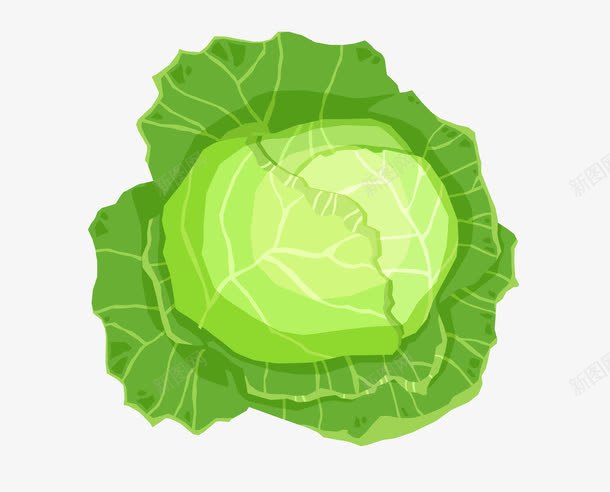 卷心菜叶子png免抠素材_新图网 https://ixintu.com 叶子 绿色 菜叶 蔬菜 蔬菜叶