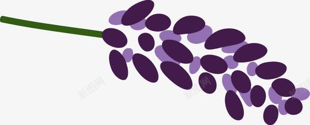 手绘紫色的花png免抠素材_新图网 https://ixintu.com 手绘画 植物 矢量装饰 紫色的花 装饰