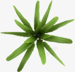 绿色手绘植物装饰绿叶素材