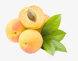 黄色桃子装饰素材