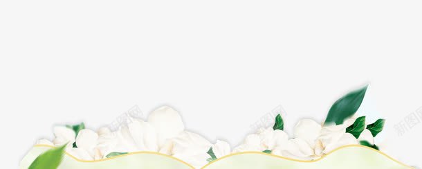 白色花朵边框纹理png免抠素材_新图网 https://ixintu.com 免抠PNG 白色 花朵 边框纹理