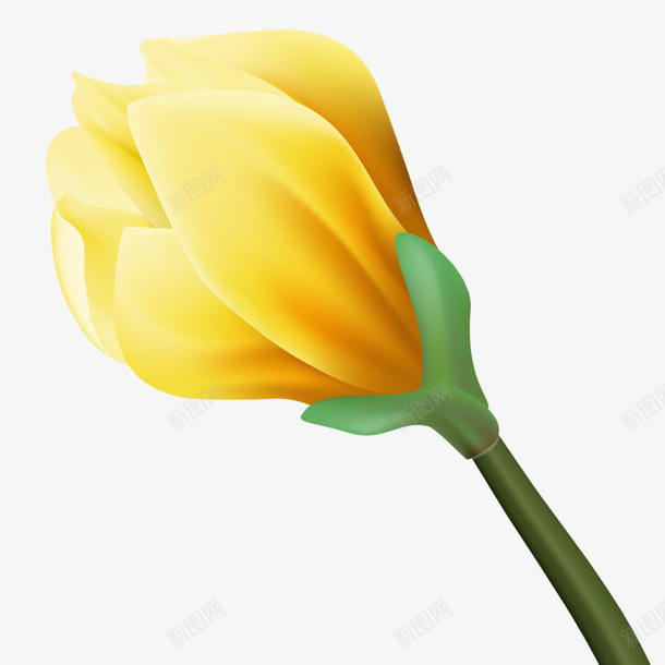 黄色植物手绘卡通花朵psd免抠素材_新图网 https://ixintu.com 卡通 手绘 植物 花朵 黄色 黄色植物手绘卡通花朵