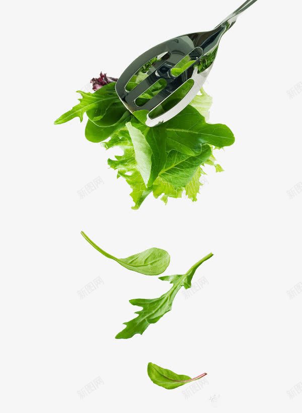 绿色蔬菜png免抠素材_新图网 https://ixintu.com 绿色 蔬菜 锅铲 食品