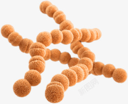 微生物菌细菌微生物病毒金黄葡萄球菌高清图片