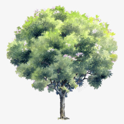 手绘树木元素绿色树木素材