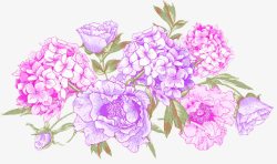 紫色唯美手绘花朵植物素材