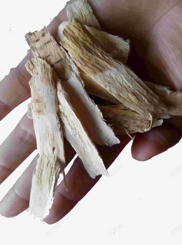 手拿黄芪干png免抠素材_新图网 https://ixintu.com 中药 产品实物 黄芪