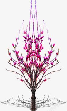 粉色梦幻花朵植物装饰素材