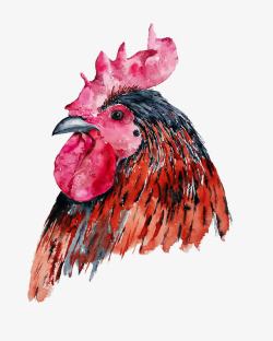 红色的公鸡头图案素材
