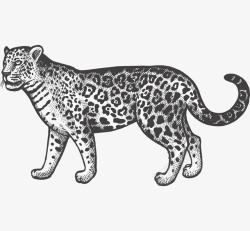 黑色手绘的豹子素描素材