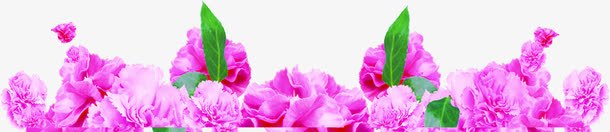 紫色精美手绘花朵装饰png免抠素材_新图网 https://ixintu.com 精美 紫色 花朵 装饰