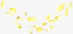 黄色梦幻创意花瓣装饰素材