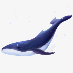 鲸鱼狐狸透明素材