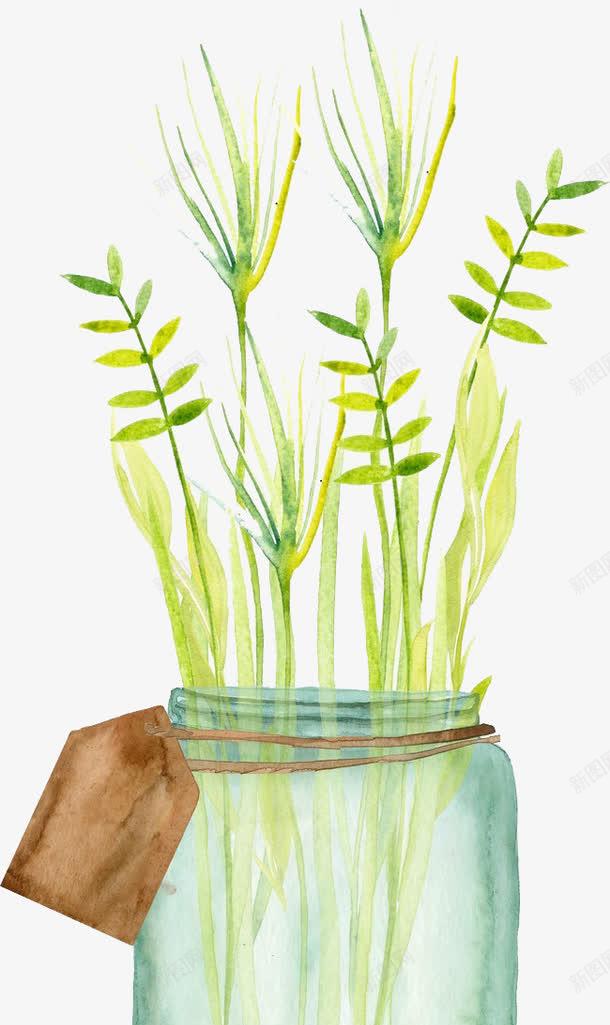 水彩小草png免抠素材_新图网 https://ixintu.com 卡通 图案 小草 水彩 装饰