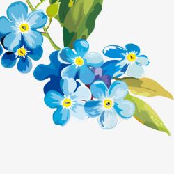 手绘花朵装饰花花唯美花瓣素材