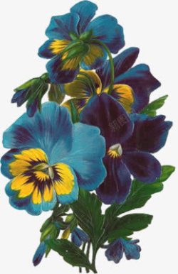古典手绘蓝色鲜花素材