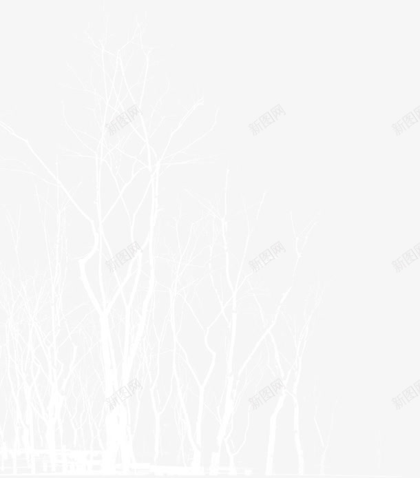 白色创意树枝合成效果png免抠素材_新图网 https://ixintu.com 创意 合成 效果 树枝 白色