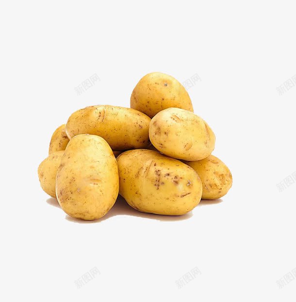 新鲜的土豆png免抠素材_新图网 https://ixintu.com PNG素材 土豆 新鲜 食材