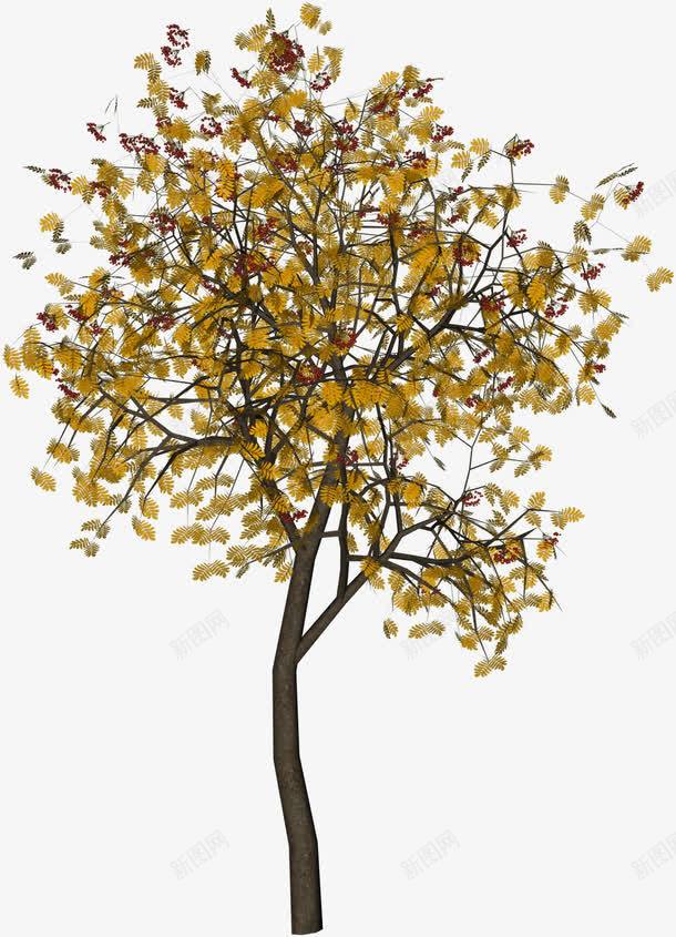 黄色叶子装饰树png免抠素材_新图网 https://ixintu.com 元素 大自然 布景 树 黄色叶子装饰