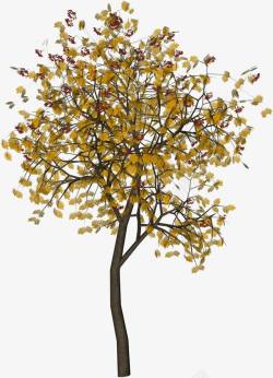 黄色叶子装饰树素材