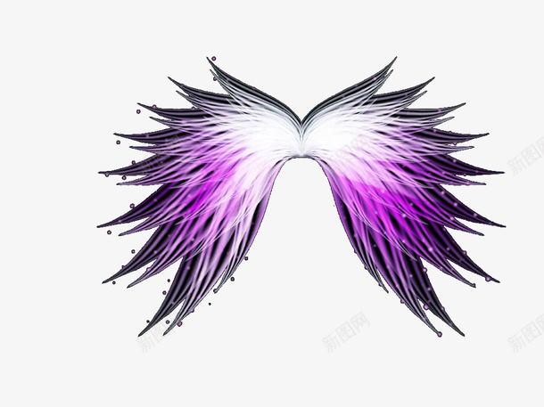 炫彩紫色翅膀png免抠素材_新图网 https://ixintu.com 效果元素 炫彩 紫色 翅膀