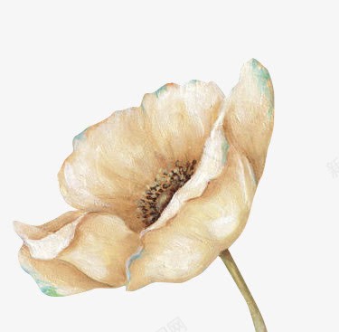 手绘红色花朵花朵朝左png免抠素材_新图网 https://ixintu.com 手绘 朝左 红色 花朵