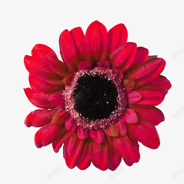 红色花朵png免抠素材_新图网 https://ixintu.com 红色 花朵 装饰 顶视