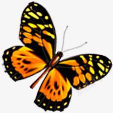 黄色斑点蝴蝶png免抠素材_新图网 https://ixintu.com 斑点 蝴蝶 设计 黄色