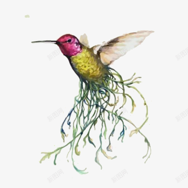 创意动物鸟png免抠素材_新图网 https://ixintu.com png 创意 动物 图片 鸟