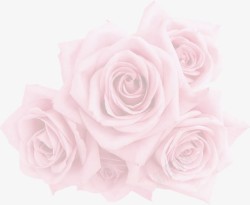 粉色花朵植物海报效果素材