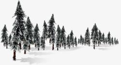 绿色冬季树林雪景素材