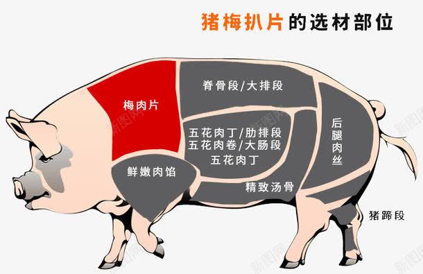 猪肉分部图png免抠素材_新图网 https://ixintu.com 猪图 猪肉 猪肉分部