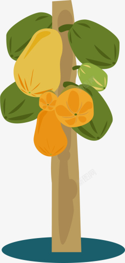 香甜木瓜果树上的卡通木瓜高清图片