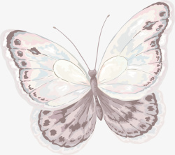 卡通水彩蝴蝶矢量图素材