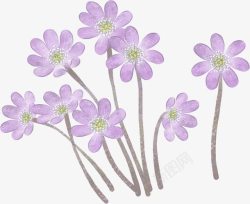紫色唯美手绘小花素材