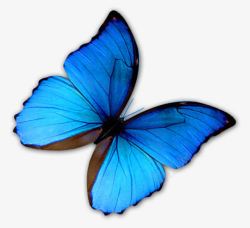 蓝色立体蝴蝶素材