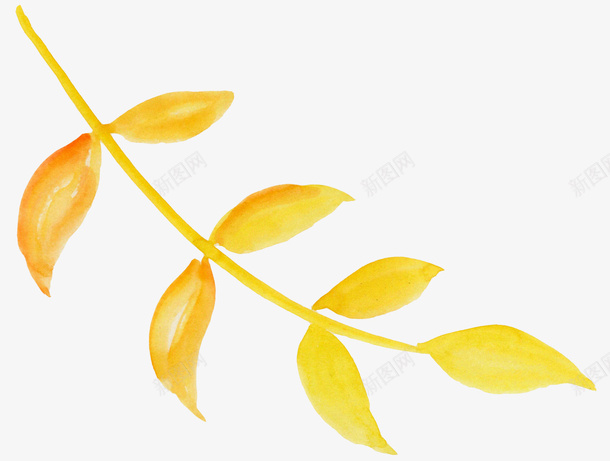 黄色水彩植物叶子png免抠素材_新图网 https://ixintu.com 叶片 植物图案 水彩植物叶子 黄色叶子