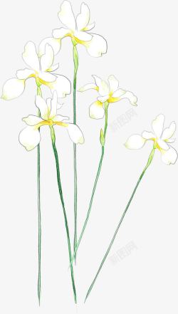 白色艺术水彩花朵手绘素材