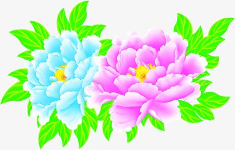 清新卡通花朵植物png免抠素材_新图网 https://ixintu.com 卡通 植物 清新 花朵