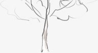 创意树枝卡通绘画png免抠素材_新图网 https://ixintu.com 创意 卡通 树枝 绘画
