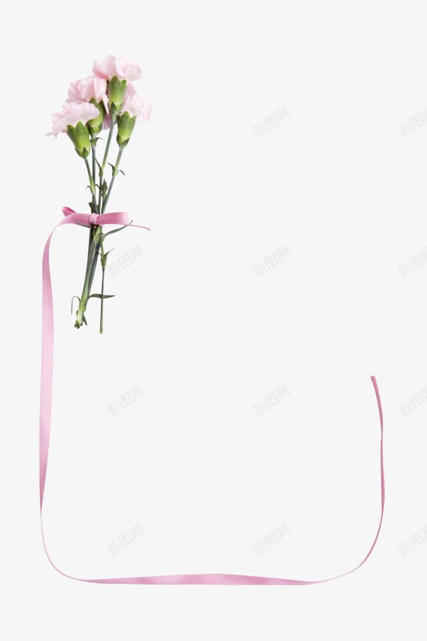 摄影创意红色的花卉植物彩带png免抠素材_新图网 https://ixintu.com 创意 彩带 摄影 植物 红色 花卉