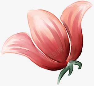 红色鲜花植物手绘png免抠素材_新图网 https://ixintu.com 植物 红色 鲜花