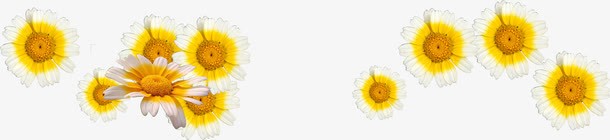 黄色卡通唯美花朵装饰png免抠素材_新图网 https://ixintu.com 卡通 花朵 装饰 设计 黄色