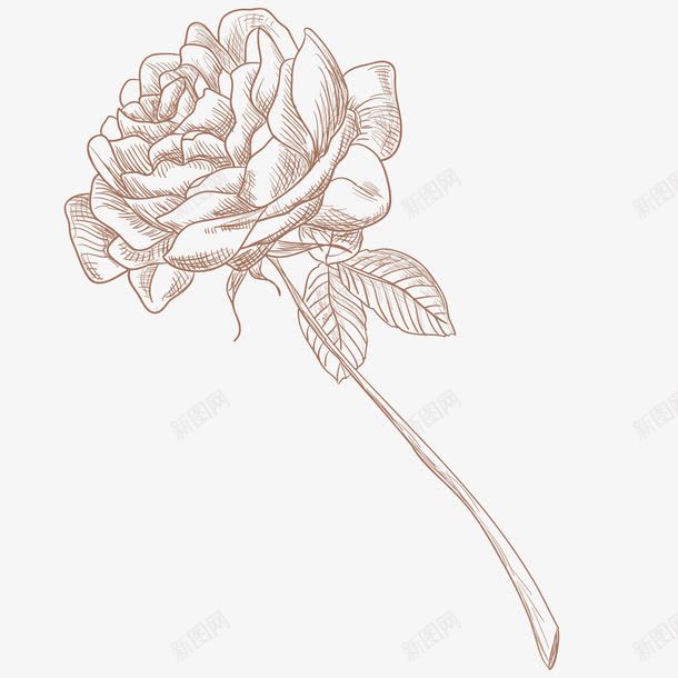 手绘玫瑰花png免抠素材_新图网 https://ixintu.com 手绘 灰色 玫瑰花