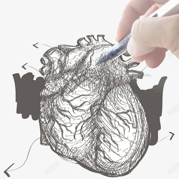 手拿着笔手绘心脏元素png免抠素材_新图网 https://ixintu.com 心脏 手拿着笔 手绘心脏 矢量元素