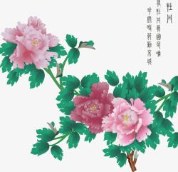手绘清新中国花卉素材