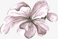 手绘紫色水彩花朵装饰png免抠素材_新图网 https://ixintu.com 水彩 紫色 花朵 装饰