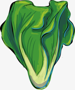 绿色手绘生菜矢量图素材